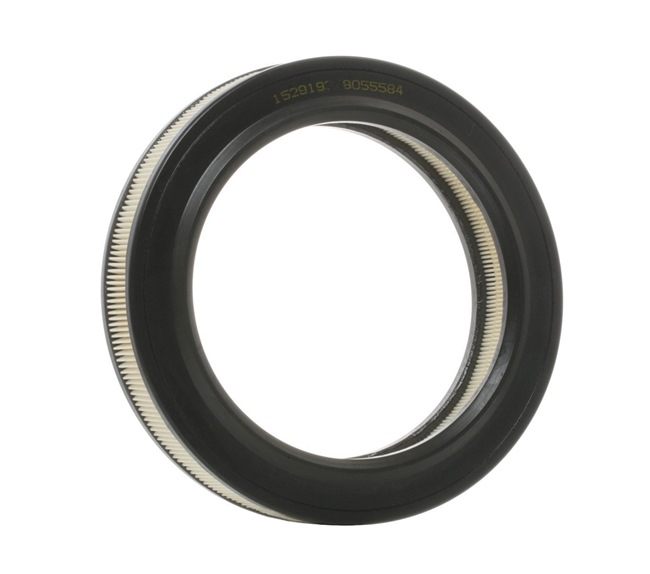Compre Filtro de ar da RIDEX 8A0316 a um preço baixo por 7,28 €