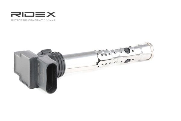 Acquista online RIDEX Bobina d'accensione Art.: 689C0145