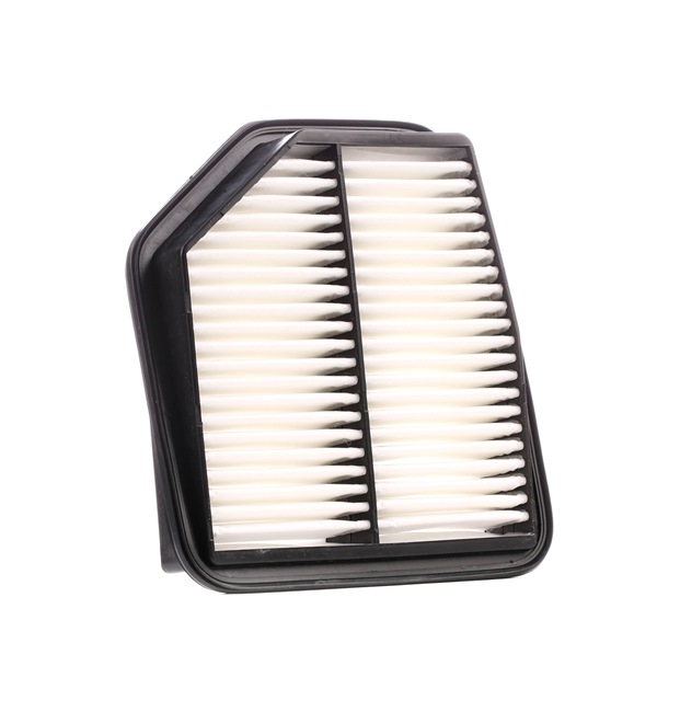 Luftfilter von RIDEX 8A0501