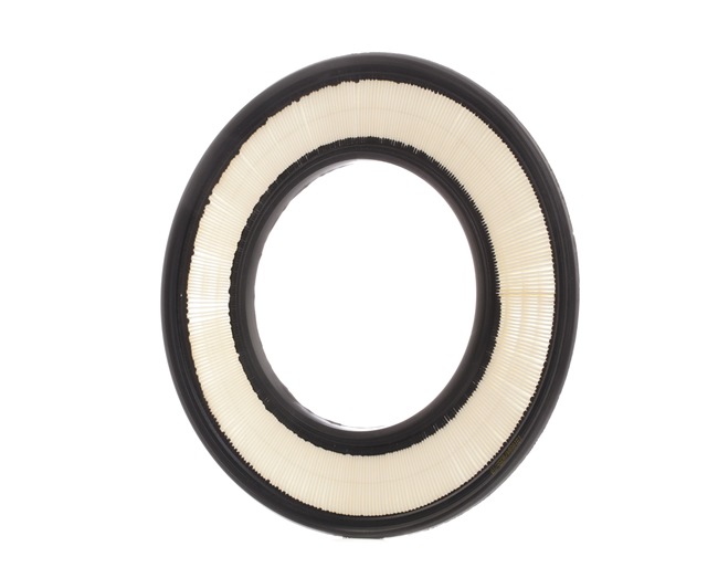Acquista online RIDEX Filtro aria Art.: 8A0498