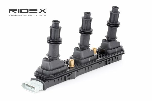 Acquista online RIDEX Bobina d'accensione Art.: 689C0275