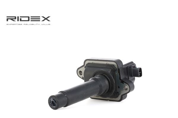 Osta Sytytyspuola RIDEX:llä 689C0273 edullisesti hintaan 21,27 €
