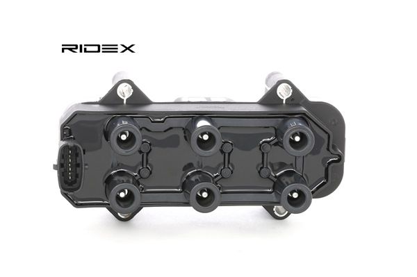 Zündspule 689C0267 von RIDEX günstig für 87,78 € online kaufen