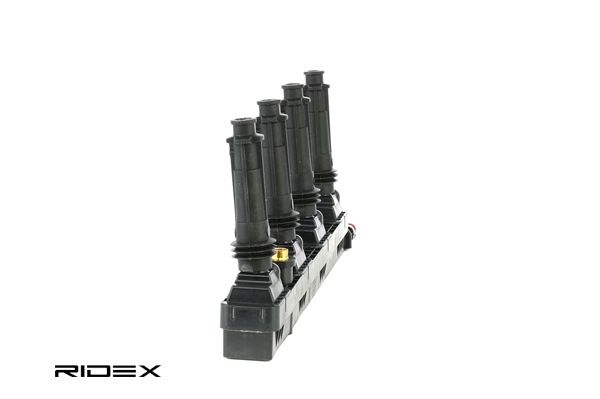 Acquista Bobina d'accensione da RIDEX 689C0248 a buon mercato per soli 77,83 €