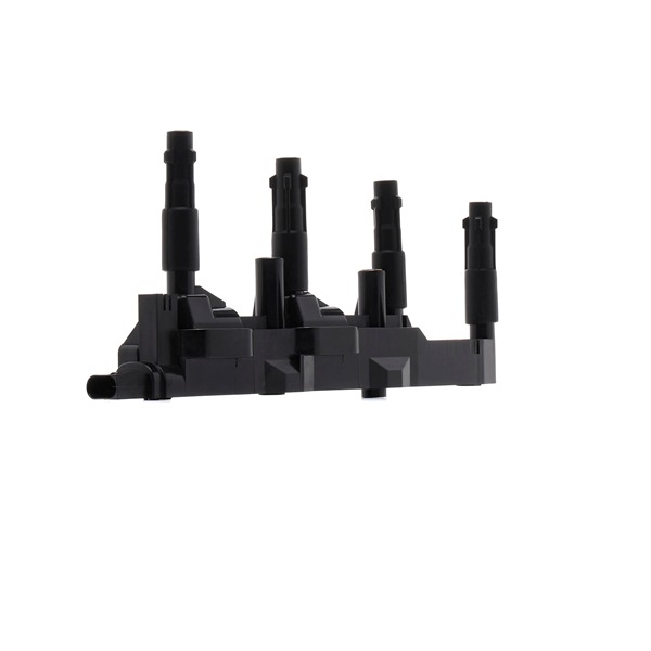 Online Shop für Zündspule von RIDEX EAN: 4059191173990