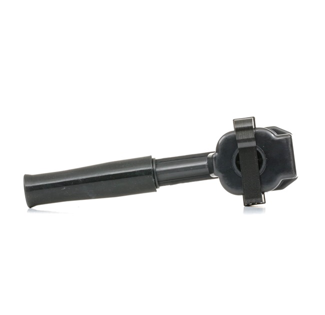 Comprar Bobina de encendido de RIDEX 689C0213 a bajo precio de 45,43 €