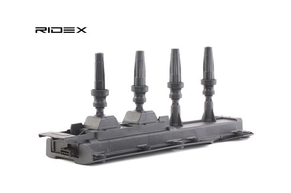 Osta Sytytyspuola RIDEX:llä 689C0175 edullisesti hintaan 112,86 €