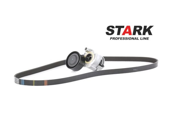 Keilrippenriemensatz von STARK für MEGANE II (BM0/1_, CM0/1_) günstig online kaufen