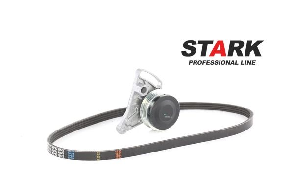 Compre Kit de correa de alternador de STARK online para SUPERB (3U4) a precios moderados
