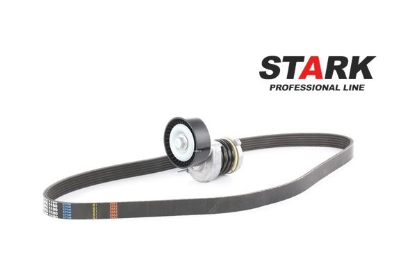 Compre Kit de correa de alternador de STARK online para Fabia I Combi (6Y5) a precios moderados
