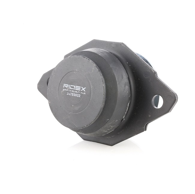 Acquista Supporto motore da RIDEX 247E0022 a buon mercato per soli 15,22 €