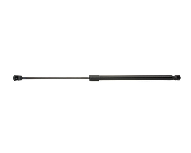 Heckklappendämpfer 219G0025 von RIDEX günstig für 11,53 € online kaufen