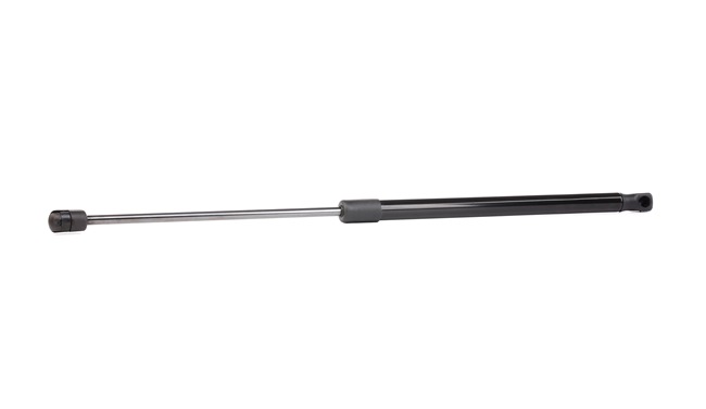 Heckklappendämpfer 219G0063 von RIDEX günstig für 12,48 € online kaufen