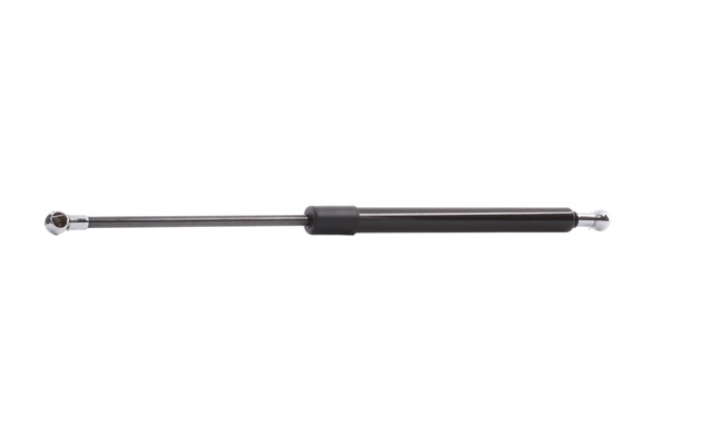 Heckklappendämpfer 219G0106 von RIDEX günstig für 9,98 € online kaufen