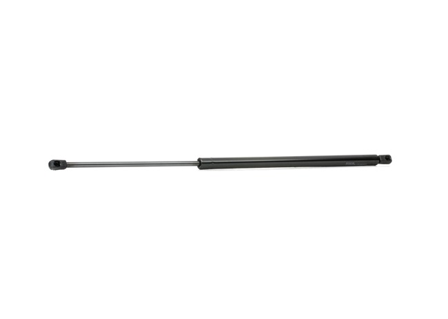 Heckklappendämpfer 219G0113
