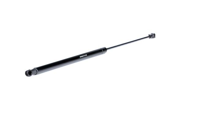 Heckklappendämpfer 219G0315