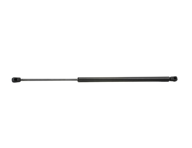 Heckklappendämpfer 219G0151 von RIDEX günstig für 11,16 € online kaufen