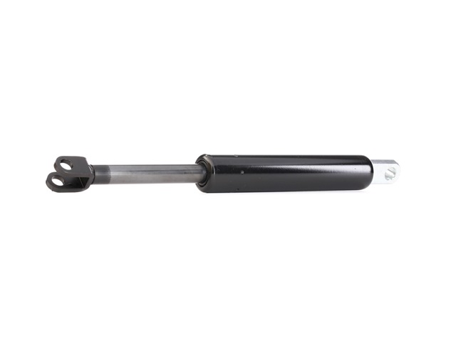 Heckklappendämpfer 219G0191 von RIDEX günstig für 17,42 € online kaufen