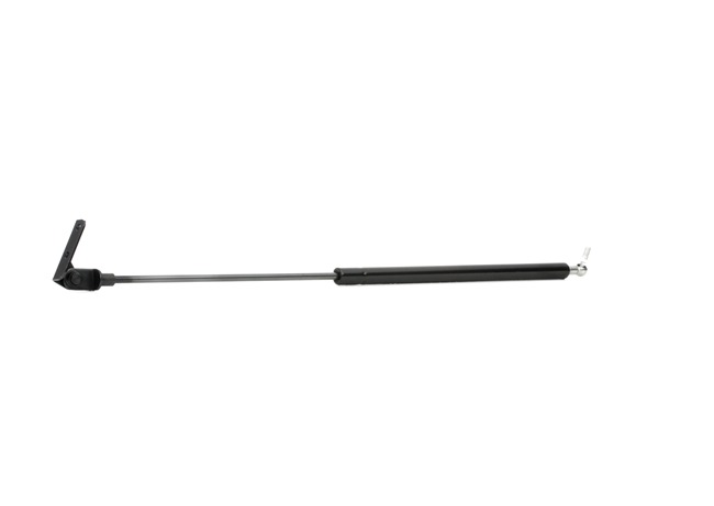 Heckklappendämpfer von RIDEX 219G0304