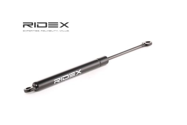 Motorhaubendämpfer für BMW von RIDEX
