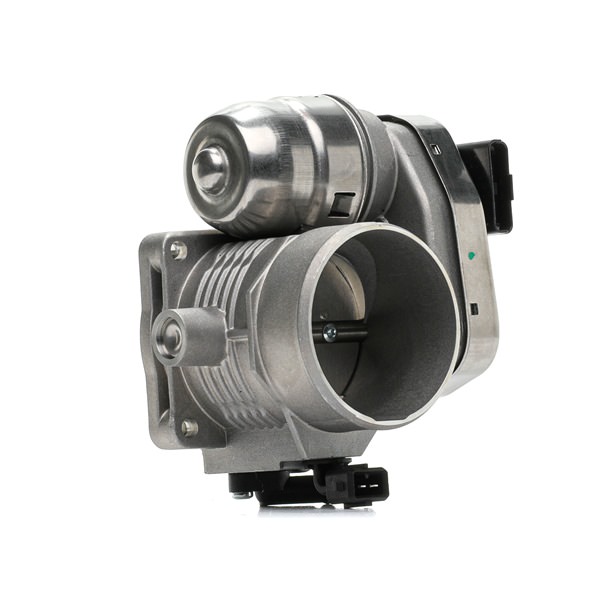 Compre Corpo de borboleta da RIDEX 158T0019 a um preço baixo por 174,50 €