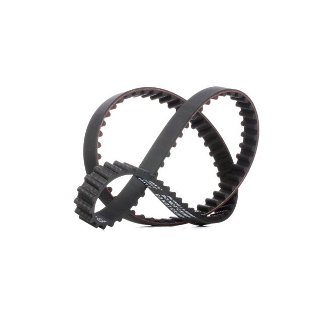 Achetez des Courroie de distribution RIDEX 306T0021 à prix pour 10,12 €