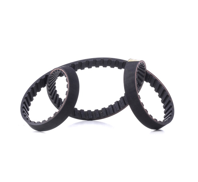 Achetez des Courroie de distribution RIDEX 306T0190 à prix pour 33,48 €