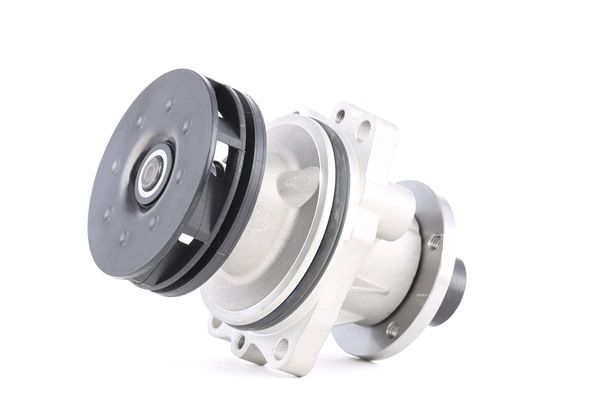 Osta Vesipumppu RIDEX:llä 1260W0004 edullisesti hintaan 34,75 €