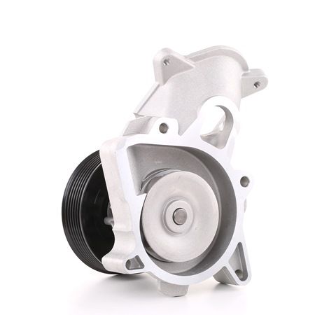 Osta Vesipumppu RIDEX:llä 1260W0053 edullisesti hintaan 66,28 €