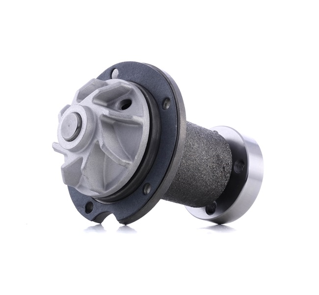 Osta Vesipumppu RIDEX:llä 1260W0037 edullisesti hintaan 35,74 €