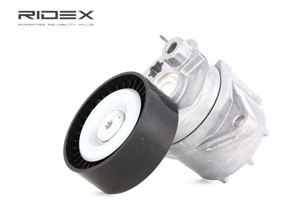 Compre Tensor de correia, correia trapezoidal estriada da RIDEX 541V0031 a um preço baixo por 25,91 €