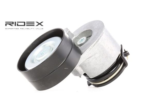 Spannrolle, Keilrippenriemen 310T0049 OPEL von RIDEX