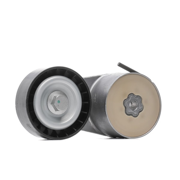 Achetez des Poulie, tendeur de courroie d'accessoire RIDEX 310T0045 à prix pour 35,58 €