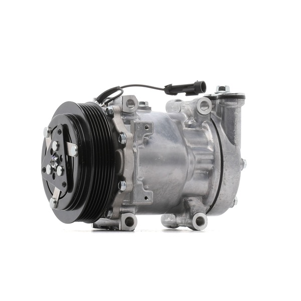 Osta Ilmastoinnin kompressori RIDEX:llä 447K0034 edullisesti hintaan 236,72 €
