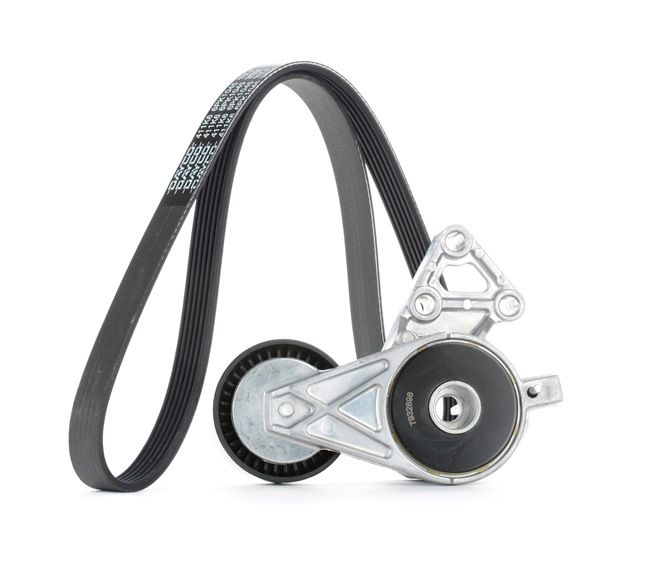 Compre Kit de correa de alternador de STARK online para OCTAVIA (1U2) a precios moderados
