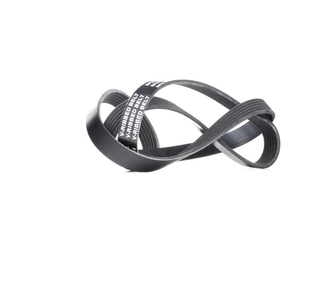 Achetez des Courroie Poly-V RIDEX 305P0082 à prix pour 12,91 €