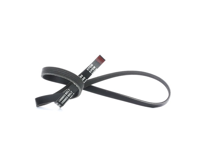Acquista Cinghia servizi da RIDEX 305P0042 a buon mercato per soli 10,79 €