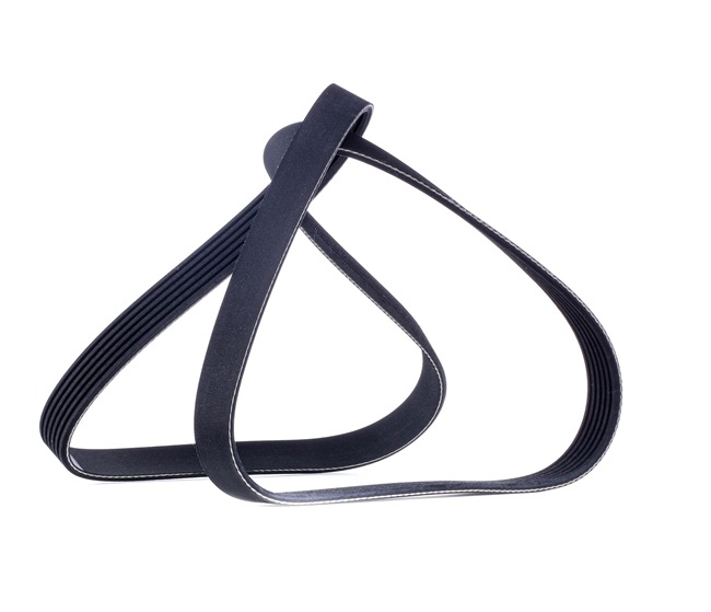 Acquista Cinghia servizi da RIDEX 305P0135 a buon mercato per soli 9,83 €