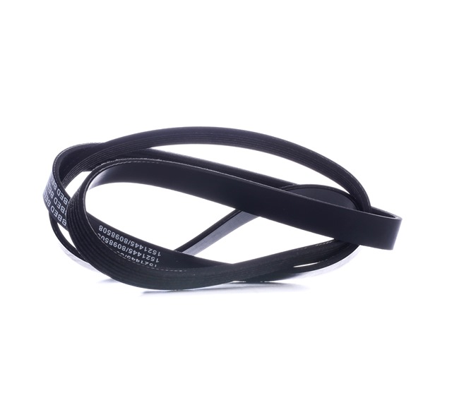 Osta Moniurahihna RIDEX:llä 305P0072 edullisesti hintaan 14,62 €