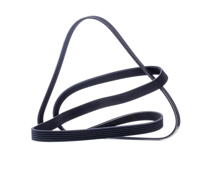 Keilrippenriemen 305P0128 LEXUS LX von RIDEX