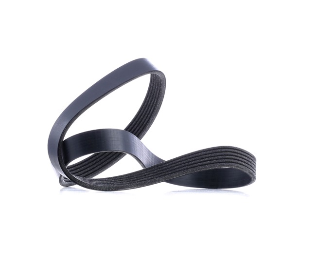 Achetez des Courroie Poly-V RIDEX 305P0060 à prix pour 10,49 €