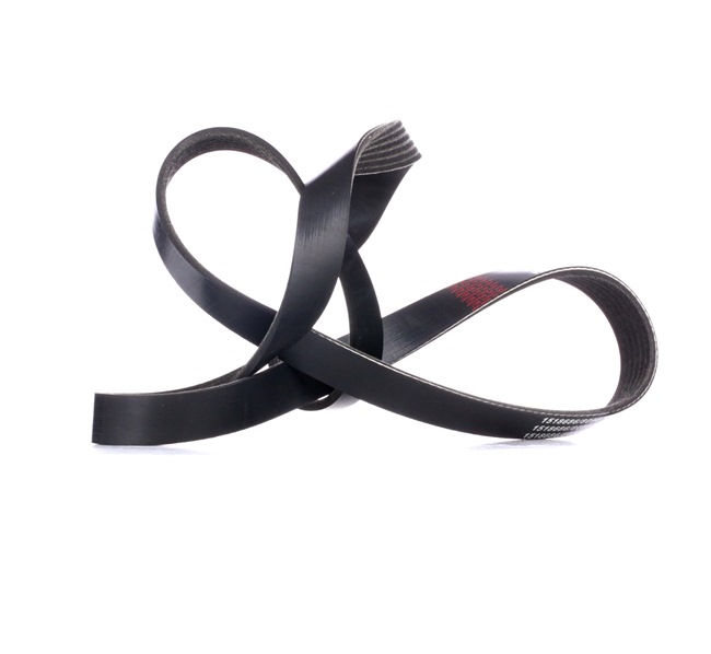 Achetez des Courroie Poly-V RIDEX 305P0170 à prix pour 12,16 €