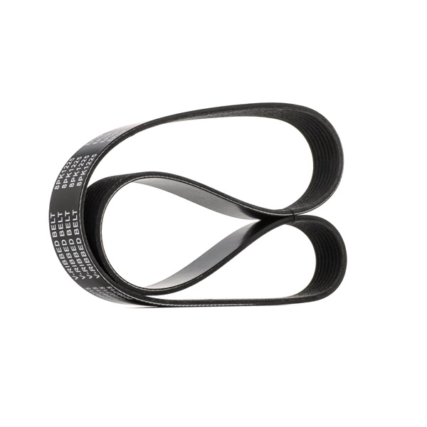 Achetez des Courroie Poly-V RIDEX 305P0155 à prix pour 14,09 €