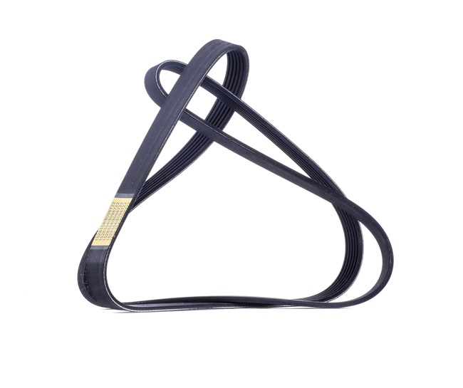 Acquista online RIDEX Cinghia servizi Art.: 305P0287