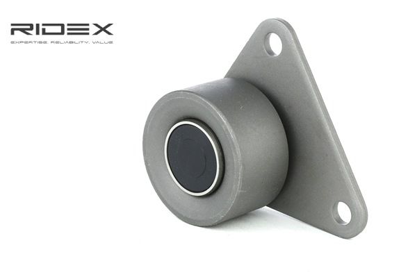 Umlenkrolle, Zahnriemen 313D0046 RENAULT von RIDEX