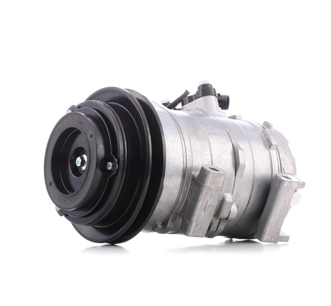 Osta Ilmastoinnin kompressori RIDEX:llä 447K0196 edullisesti hintaan 305,96 €