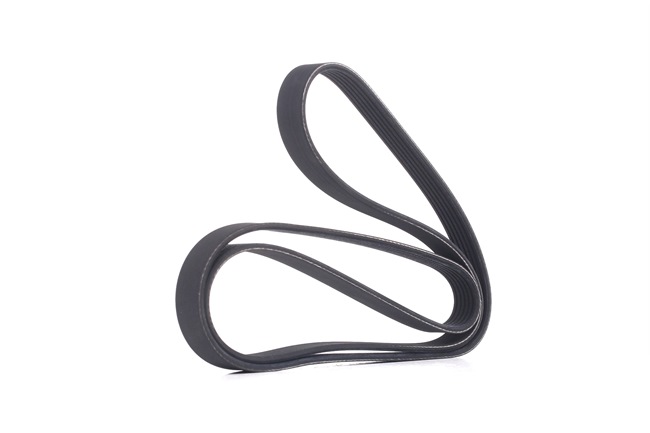 Achetez des Courroie Poly-V RIDEX 305P0181 à prix pour 12,93 €