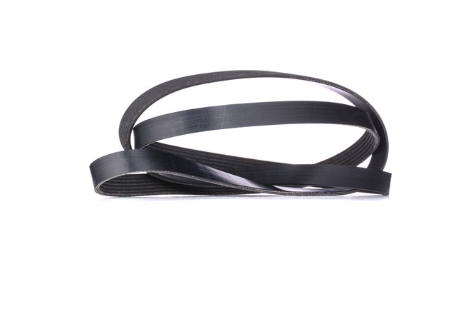 Achetez des Courroie Poly-V RIDEX 305P0158 à prix pour 16,29 €