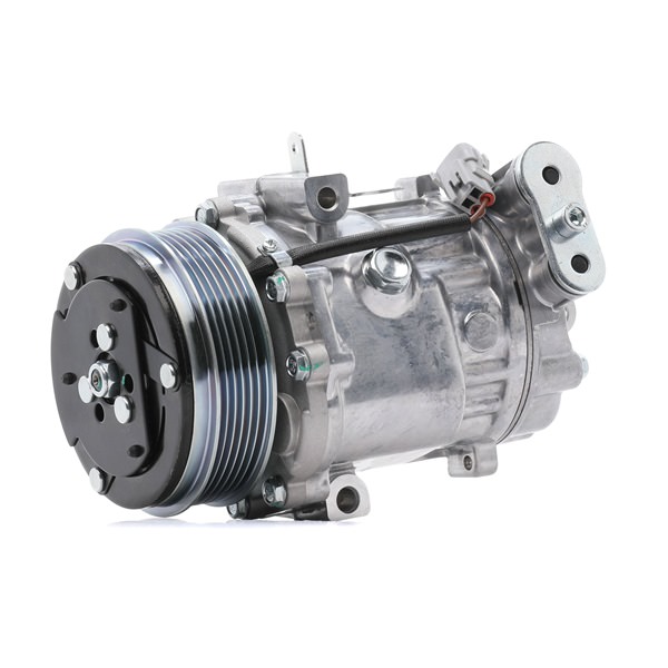 Osta Ilmastoinnin kompressori RIDEX:llä 447K0220 edullisesti hintaan 227,69 €