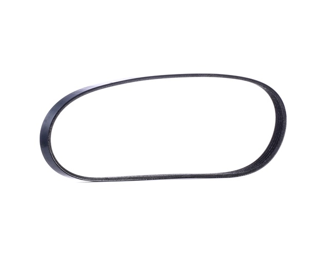 Achetez des Courroie Poly-V RIDEX 305P0025 à prix pour 7,54 €
